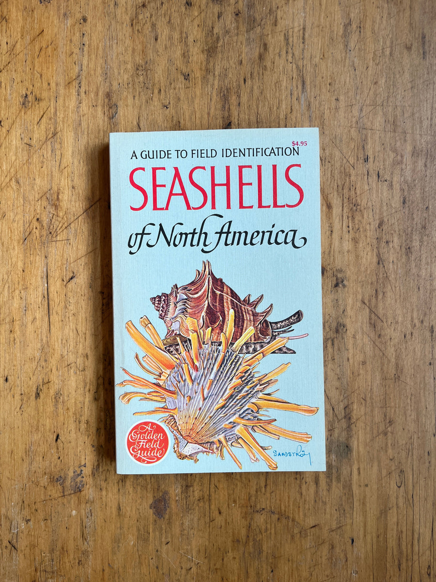 Seashells of North America: A Guide to Field Identification