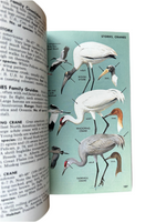 A Field Guide to the Birds East of the Rockies
