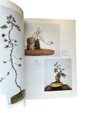 Bonsai Techniques for Satsuki
