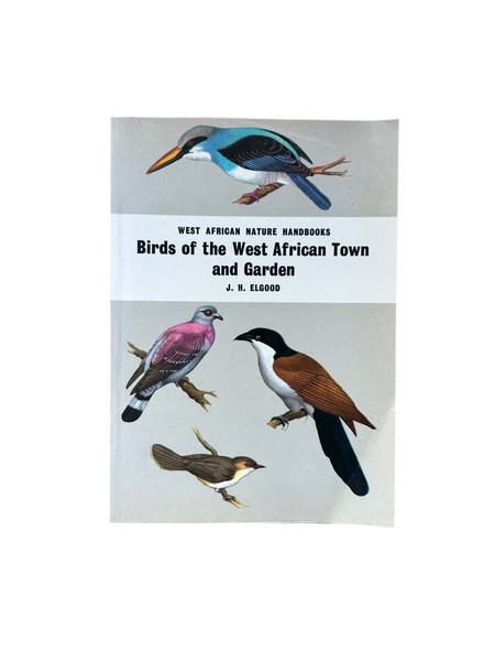 Birds of the West African Town and Garden