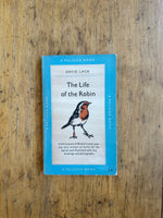 The Life of the Robin