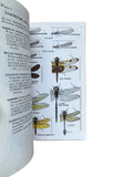 A Field Guide to the Insects of America North of Mexico