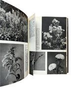 The Pictoral Encyclopedia of Plants and Flowers