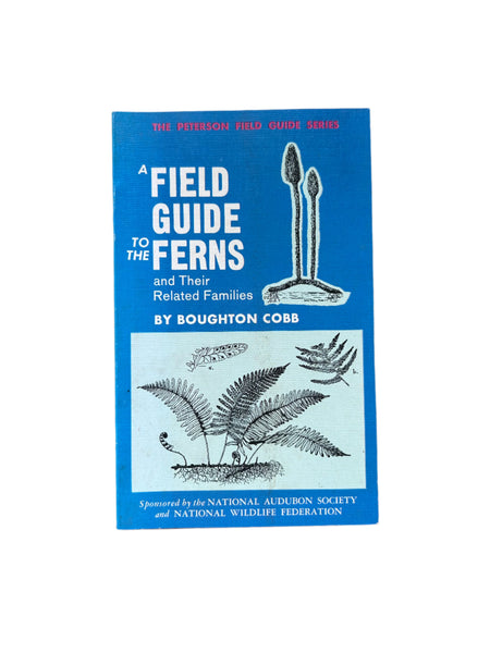A Field Guide to the Ferns