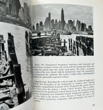 Principles of Composition in Photography