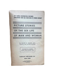 Pictures of the Stories of the Sex Life of Man and Woman