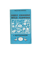 More Common Wildflowers