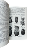 A Field Guide to the Insects