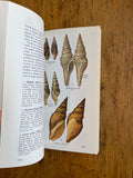 Seashells of North America: A Guide to Field Identification