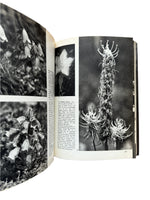 The Pictoral Encyclopedia of Plants and Flowers