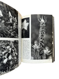 The Pictoral Encyclopedia of Plants and Flowers