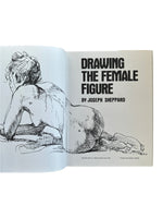 Drawing the Female Figure