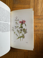 Kitty Little's Book of Herbal Beauty