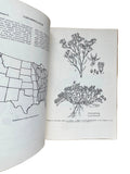Common Weeds of the United States