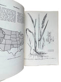Common Weeds of the United States