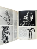 The Pictoral Encyclopedia of Plants and Flowers