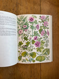 The Concise British Flora In Colour
