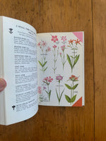 A Field Guide to Wildflowers