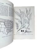 Common Weeds of the United States