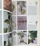 Trees of North America and Europe