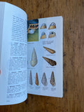 Seashells of North America: A Guide to Field Identification