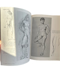 Drawing the Female Figure