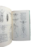 The Insect Collector's Guide