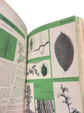 Native Trees of Canada