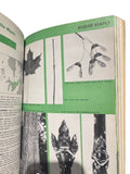 Native Trees of Canada