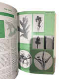 Native Trees of Canada
