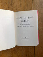 Ants On The Melon