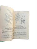 Fifty Trees of Canada East of the Rockies