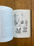 The Book of Cacti and Other Succulents