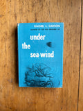 Under The Sea-Wind