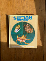 Shells