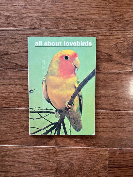 All About Lovebirds