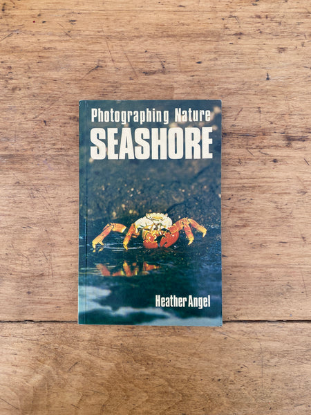 Photographing Nature: Seashore
