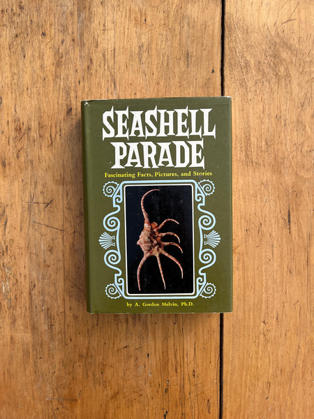 Seashell Parade