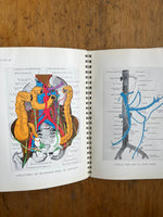 Illustrations Of Anatomy For Nurses