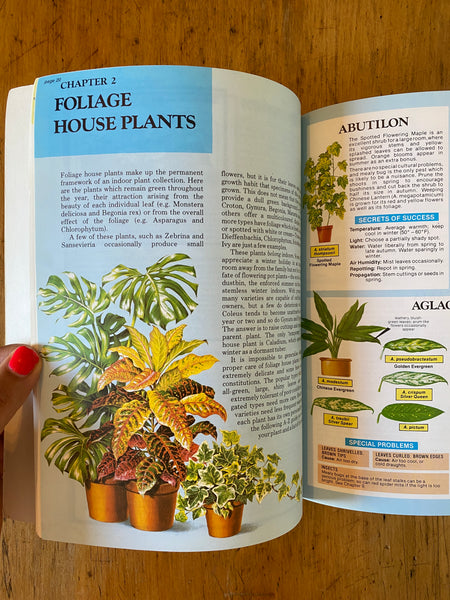 the house plant expert The House Plant Expert – Bellwoods Books